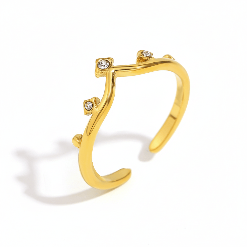 Anillo Princess Chapa 18k