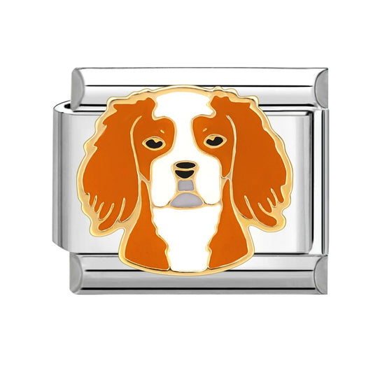 Eslabón Cavalier King