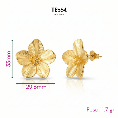 Aretes Flor 5 Hojas Chapa 18k